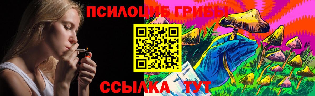 Острогожск  Псилоцибиновые грибы прущие грибы  Вход с VPN 